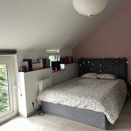 Le Cocon Cosy *